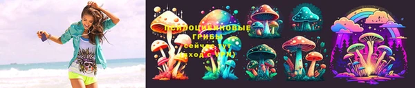 прущие грибы Алзамай
